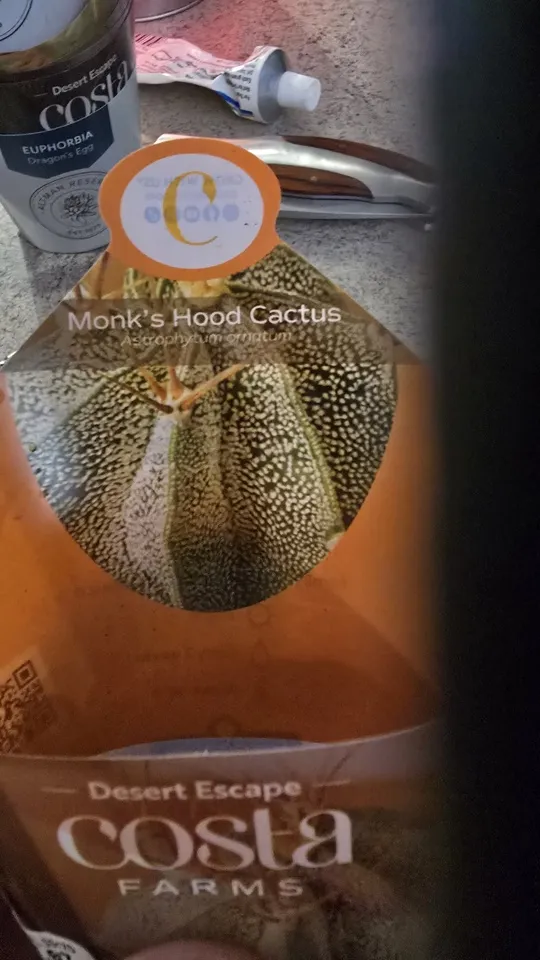 Front of the nursery card supplied with the Astrophytum ornatum cactus