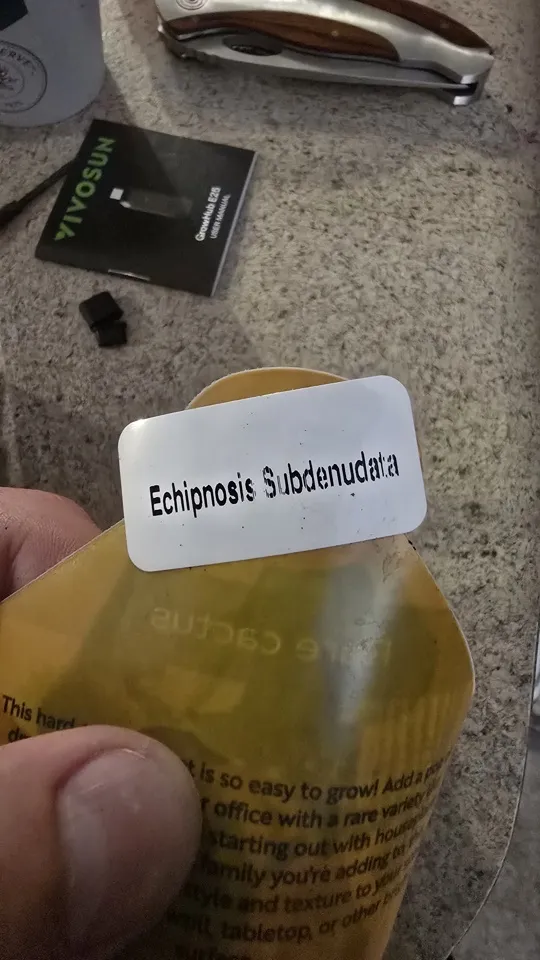 Back of the nursery card supplied with the Echinopsis subdenudata cactus