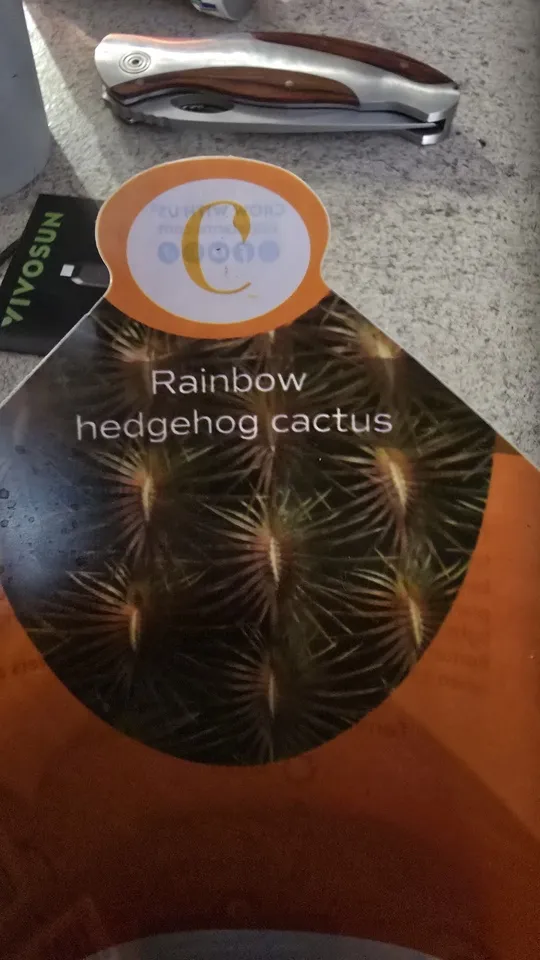 Front of the nursery card supplied with the rainbow hedgehog cactus