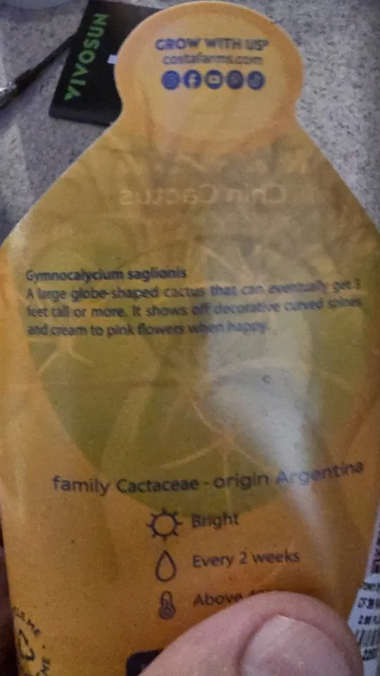 Back of the nursery card supplied with the Gymnocalycium saglionis cactus