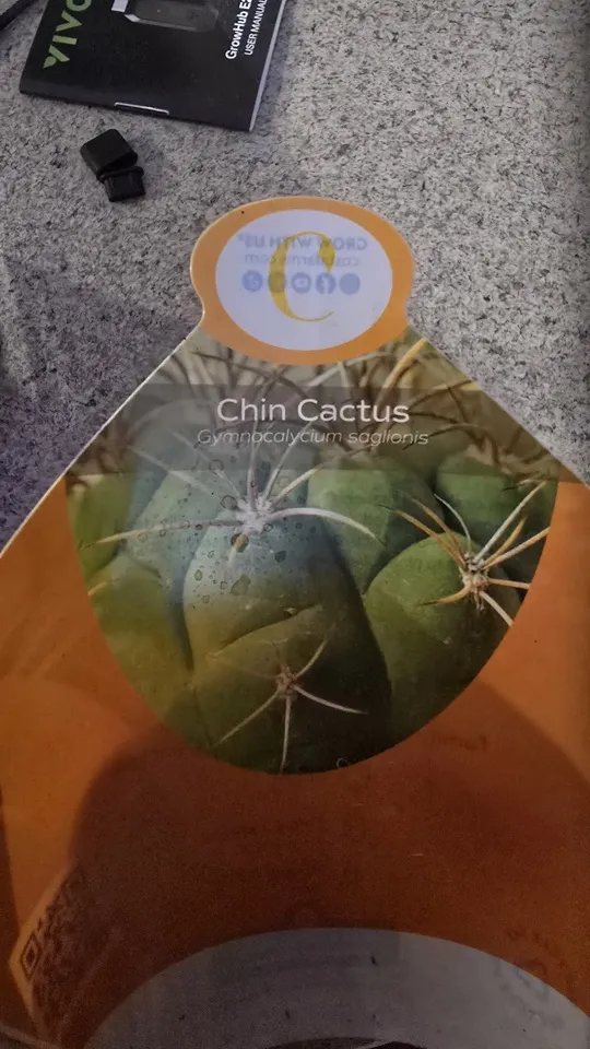 Front of the nursery card supplied with the Gymnocalycium saglionis cactus