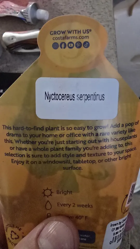 Back of the nursery card supplied with the Nyctocereus serpentinus cactus