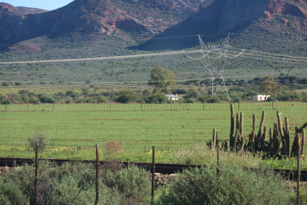 Cactus silhouettes beside fields and hills.