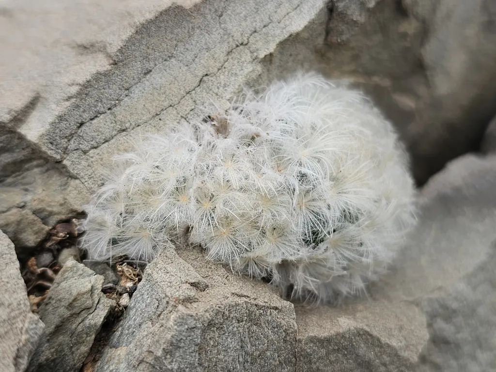 White cushion nestled between rocks.