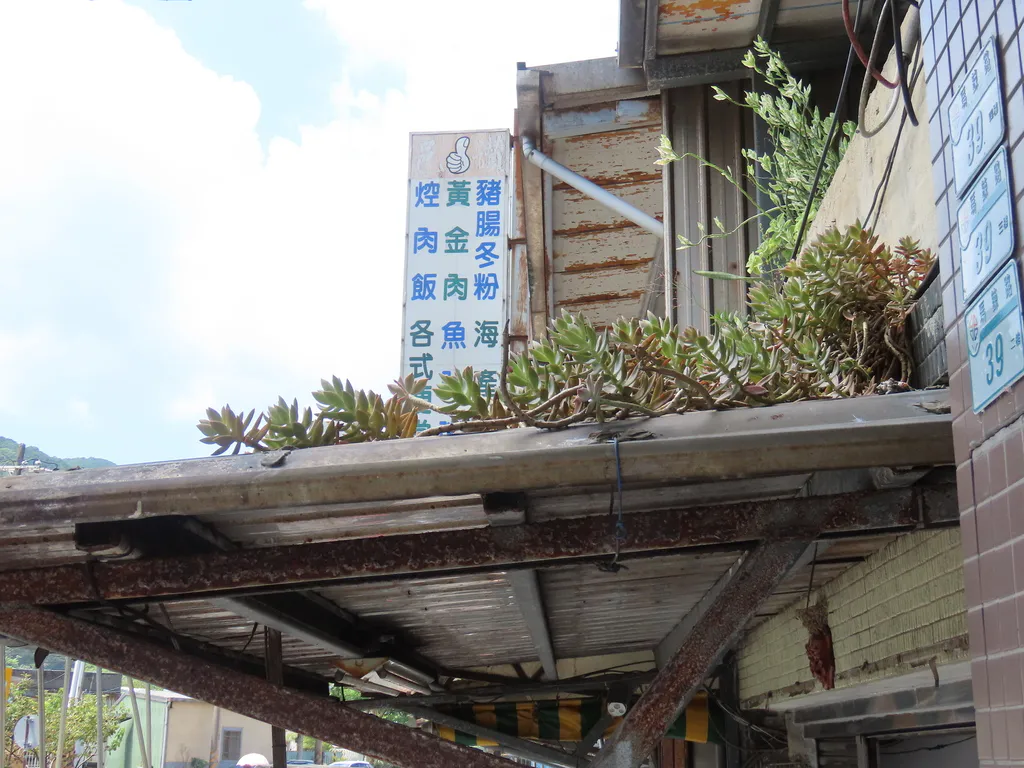 Succulents lining a building's roof edge.